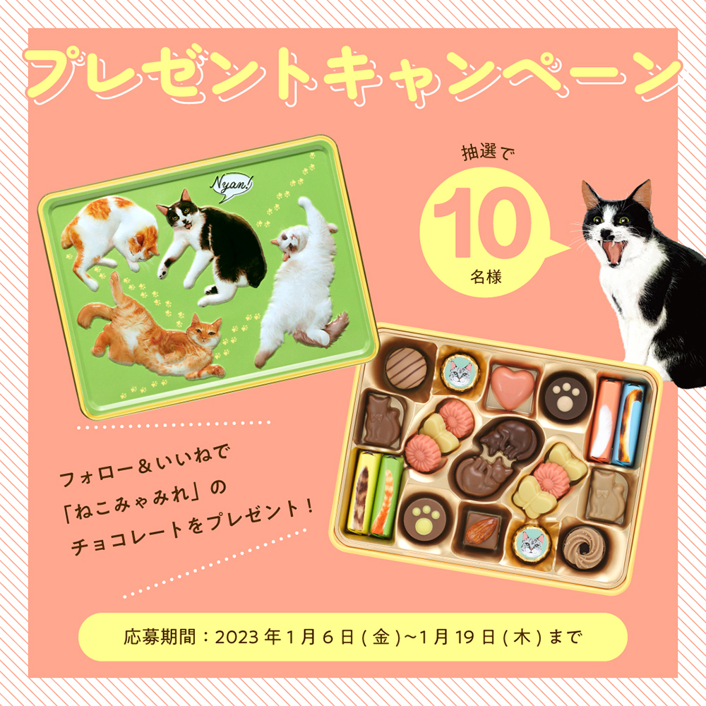 しっぽ缶 ねこみゃみれ メリーチョコレート 空き缶 - 小物入れ